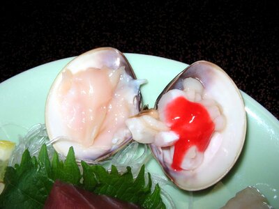 Hamaguri Sashimi - Japanese Food photo