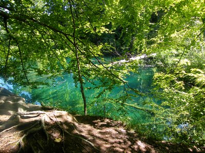 Plittvice lakes magic photo