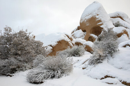 Skull Rock and Snow photo
