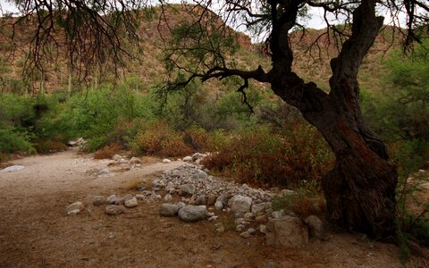 Sabino Canyon of the Santa Catalina Mountains
