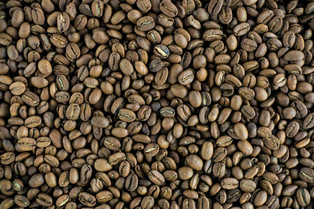 Full frame of lightly roasted coffee beans photo