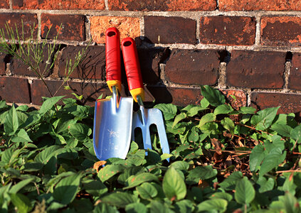two gardening tools photo