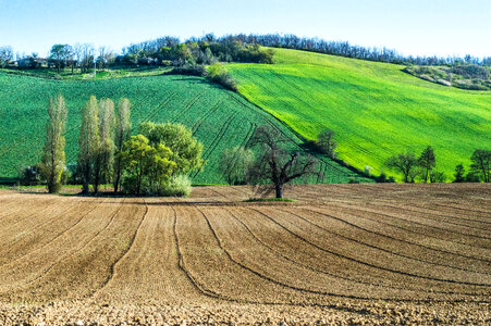 Farm landscape with trees