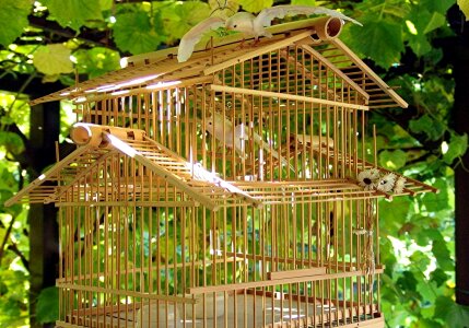 Asia free outdoor
