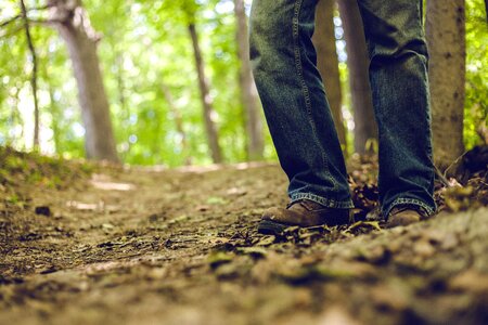 Forest leaf man photo