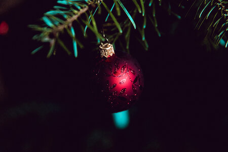 Christmasy Ball Fir Tree