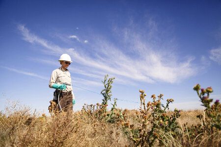 Employee spraying thistles at refuge