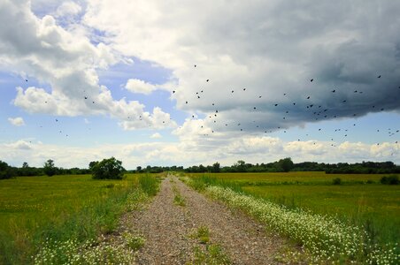 Summer road sky photo