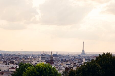 Paris Haze photo