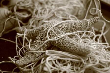 Black and white close up fishing net