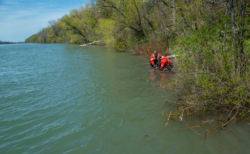 USFWS Fisheries workers releasing lake sturgeon-1