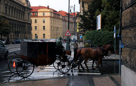 Horse Carriage photo