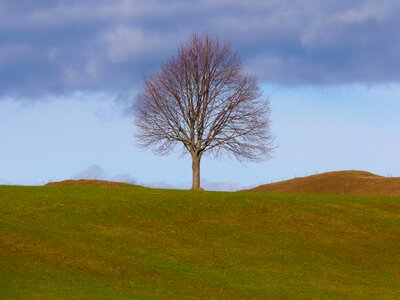 Meadow sky still life
