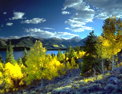 Aspen fall autumn