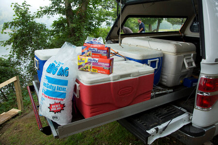 Transporting freshwater mussels-2 photo