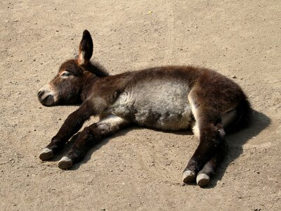 Concerns sleep rest