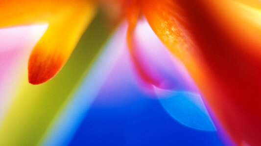 Color beautfull nice