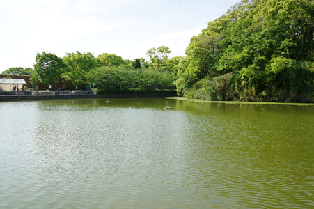 5 Tennouji Park