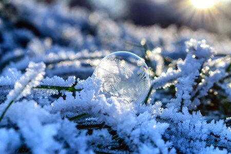 Ball-Shaped beautiful photo cold photo