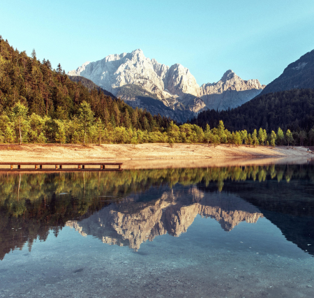 Forest lake landscape