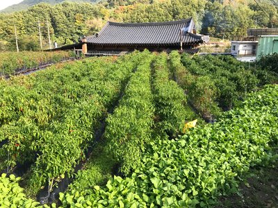 Doolare trail Dool Regil in Jirisan national park S.Korea