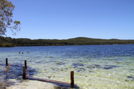 Gold coast noosa spring photo