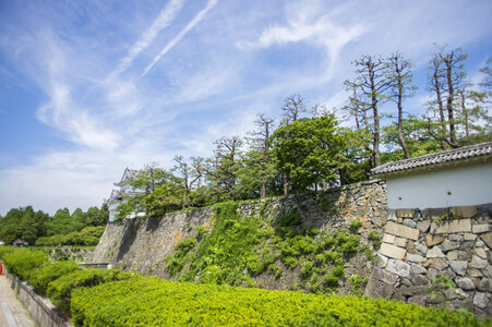 3 Nagoya Castle