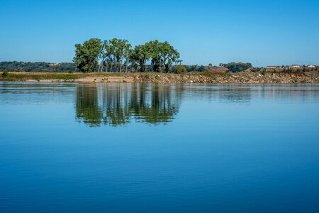 Cottonwood trees along Missouri River near Yankton, South Dakota