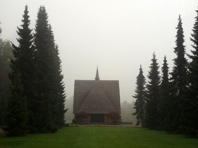 Fog grass mist photo