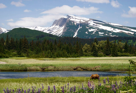 Lake Clark National Park & Preserve photo