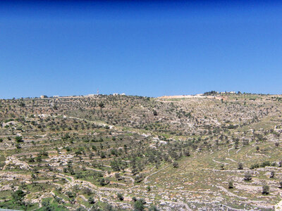 Hillside Landscape in Israel