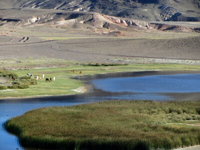Landscape peru highlands