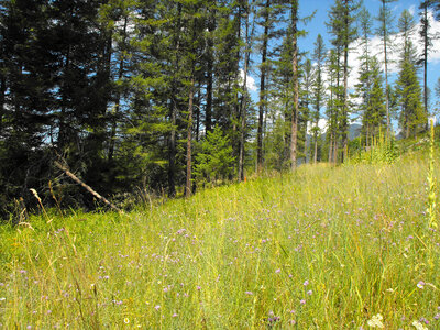 North acquisition boundary at Creston National Fish Hatchery