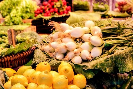 Fruit vegetables market