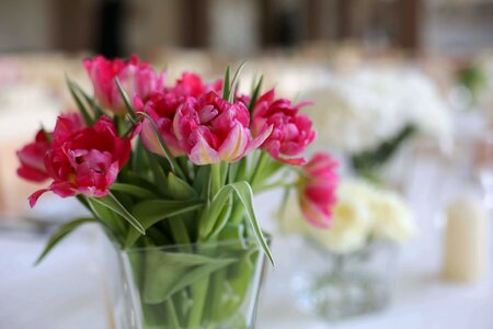 Vase crystal tulips photo