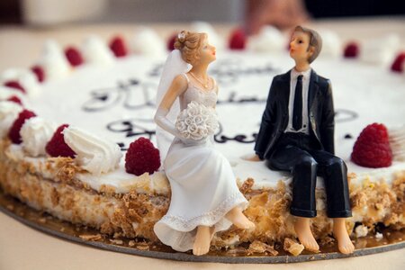 Husband wife cake photo