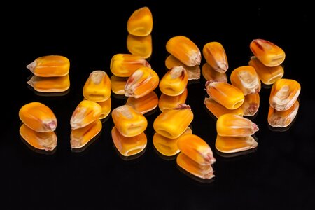 Crop yellow black