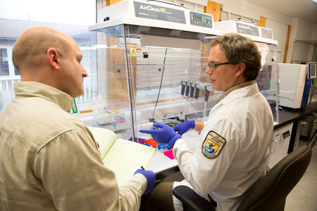 Geneticist at work-3
