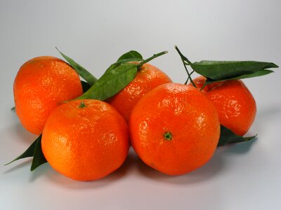 Oranges fruit citrus fruit photo