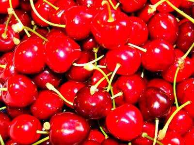 Fruit red fruits food photo