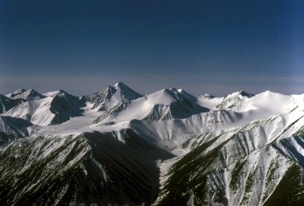 Arctic distance domestic
