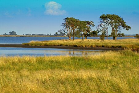 Nature note environmental protection