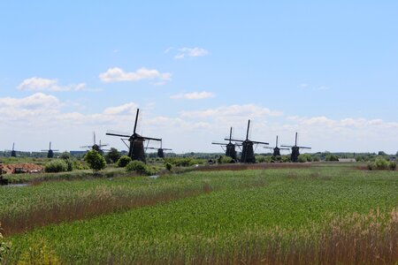 Netherlands dutch landscape