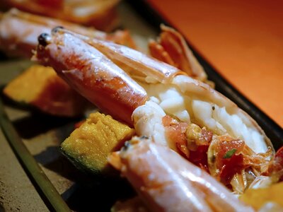 Seafood grilled cuisine photo