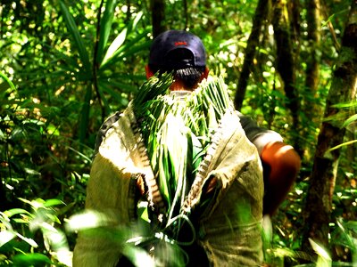 Biosphere life reservation