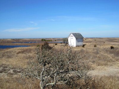 Domestic island nature