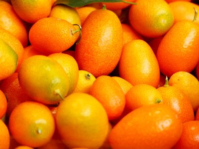 Fortunella dwarf rind orange
