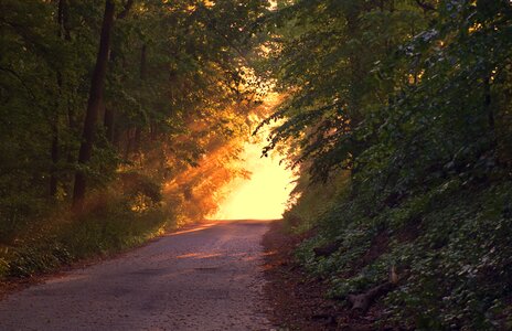Path evening sunset