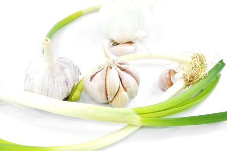 Antibacterial antioxidant aroma