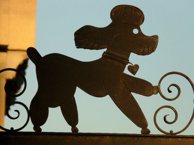 Silhouette animal backlighting